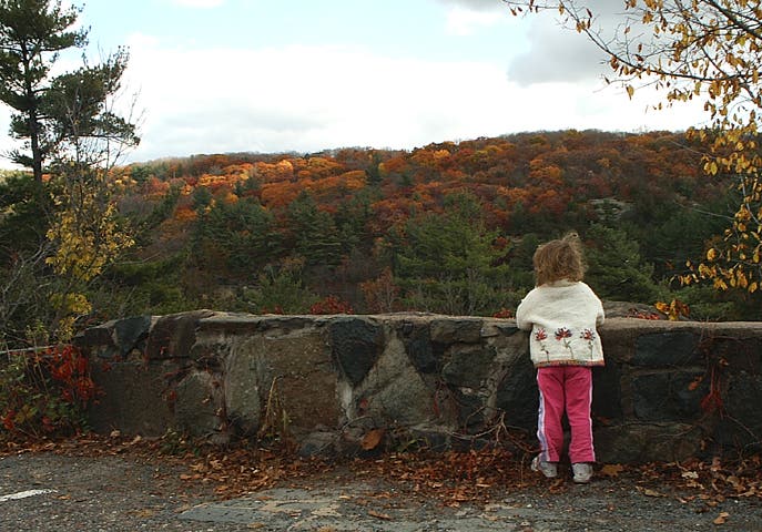 Overlook into the St. Croix Valley None
