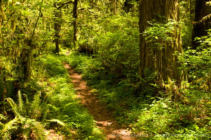 Oxbow Trail None