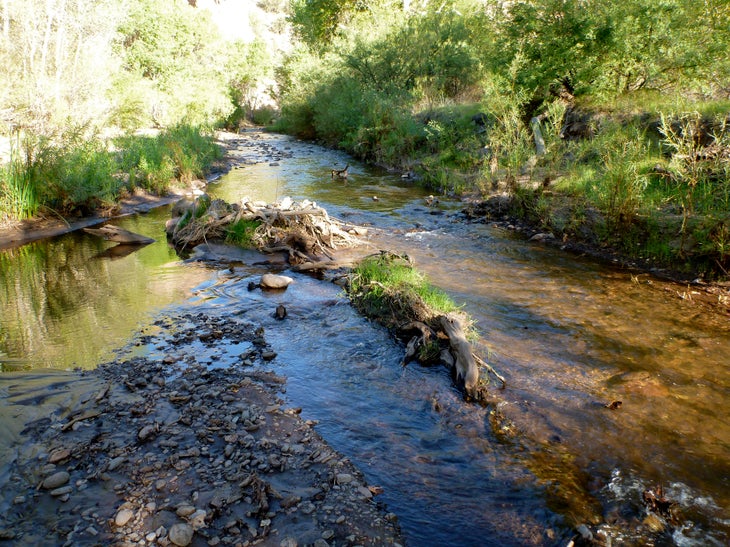 P1010043.jpg None