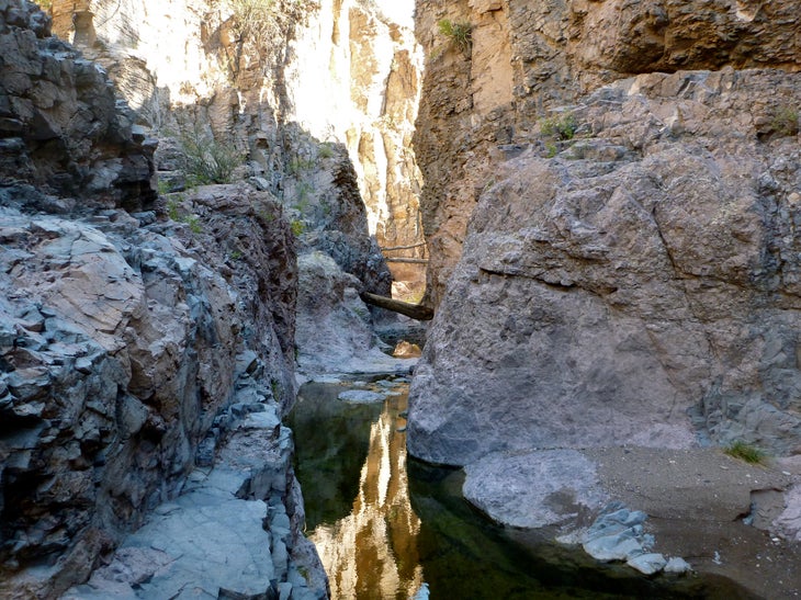P1010108.jpg None
