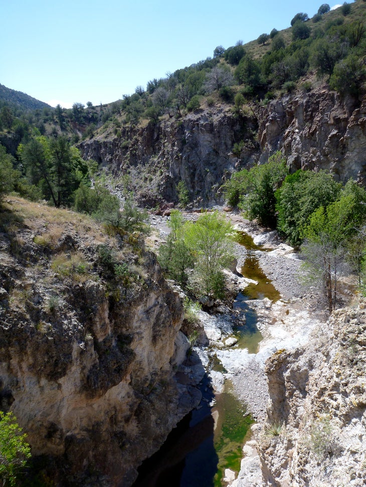 P1010163.jpg None