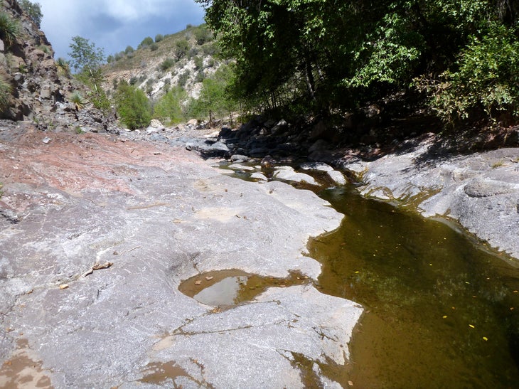 P1010164.jpg None