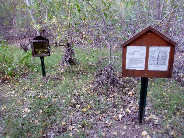 P1010184.jpg None