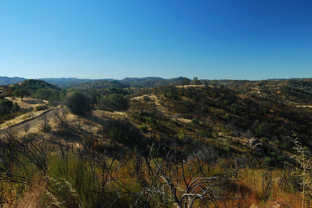 Pacheco Ridge Trail None