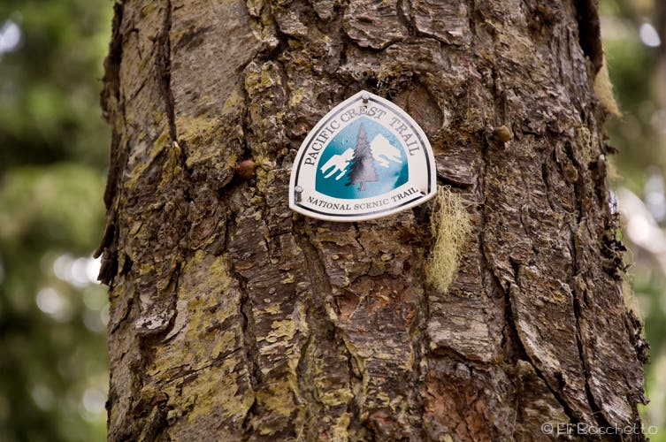 Pacific Crest Trail None