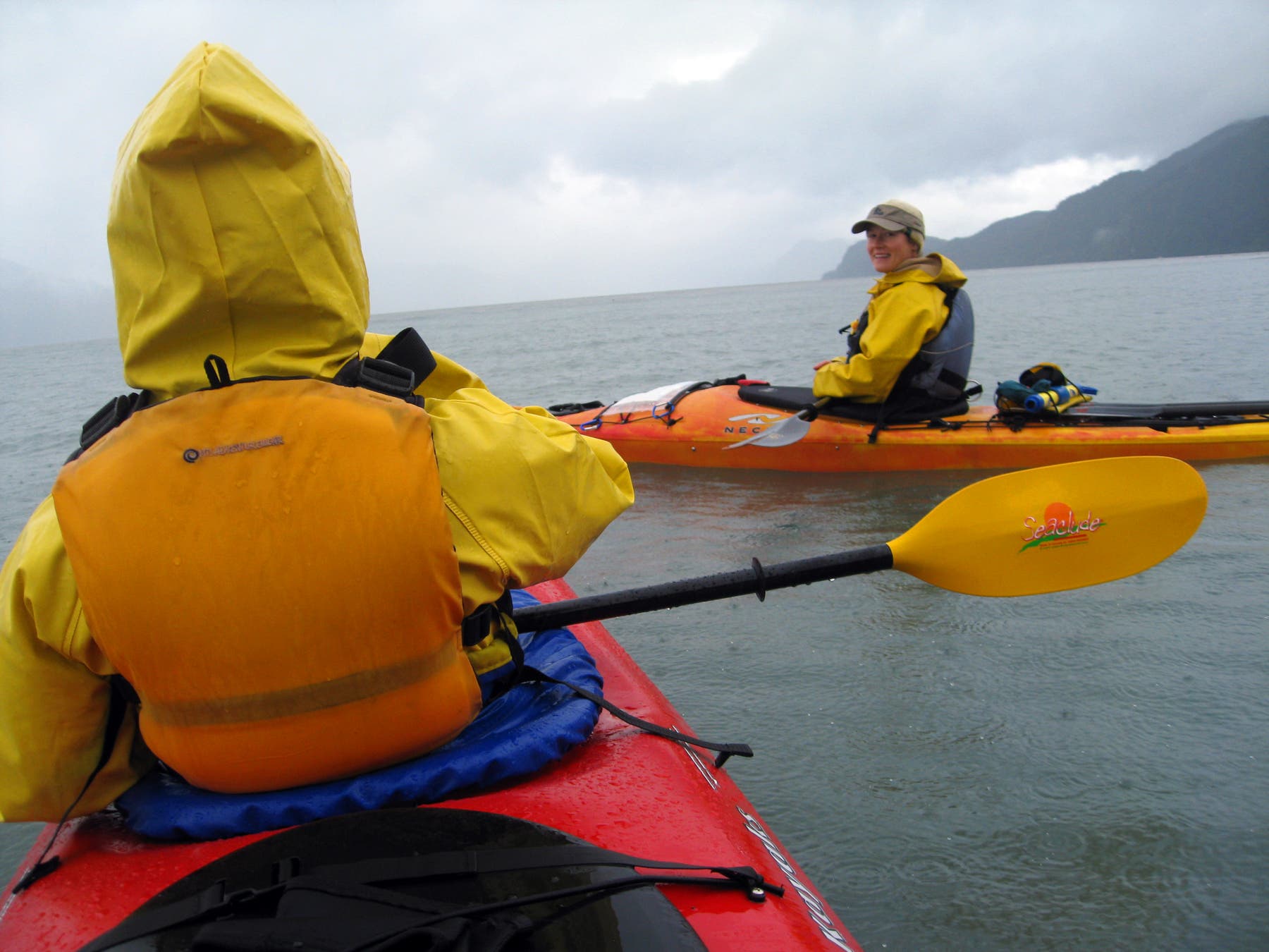 Paddling in Resurrection Bay None
