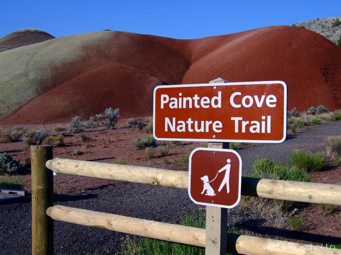 Painted Cove None