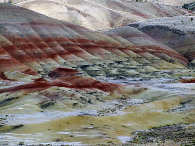 Painted Hills None