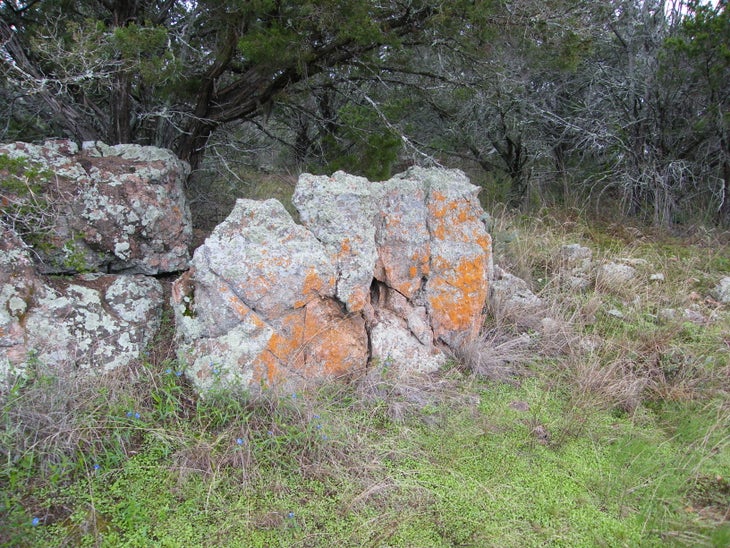 Painted Rocks None