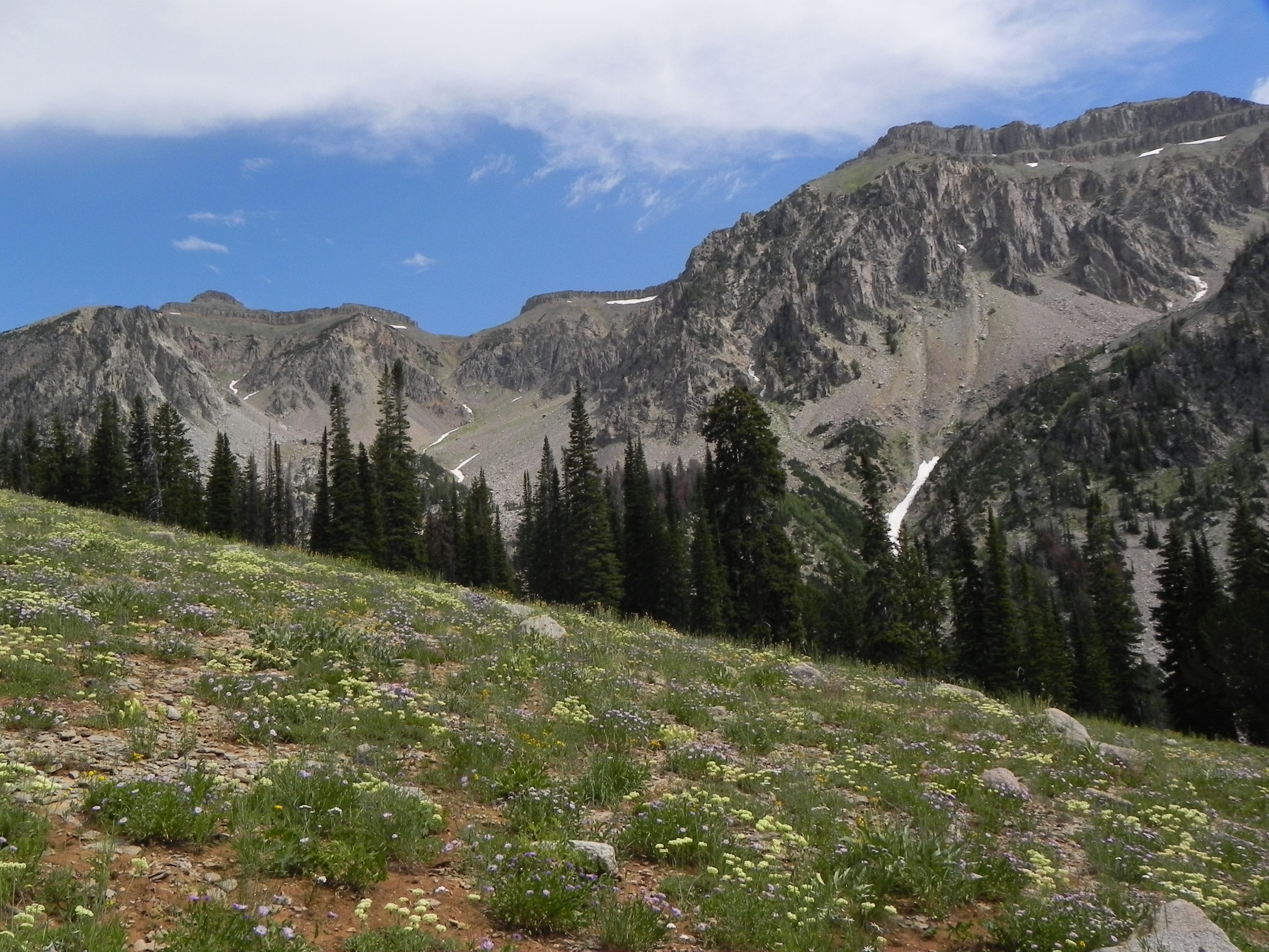 Palmer Peak in Shoal Creek Valley None