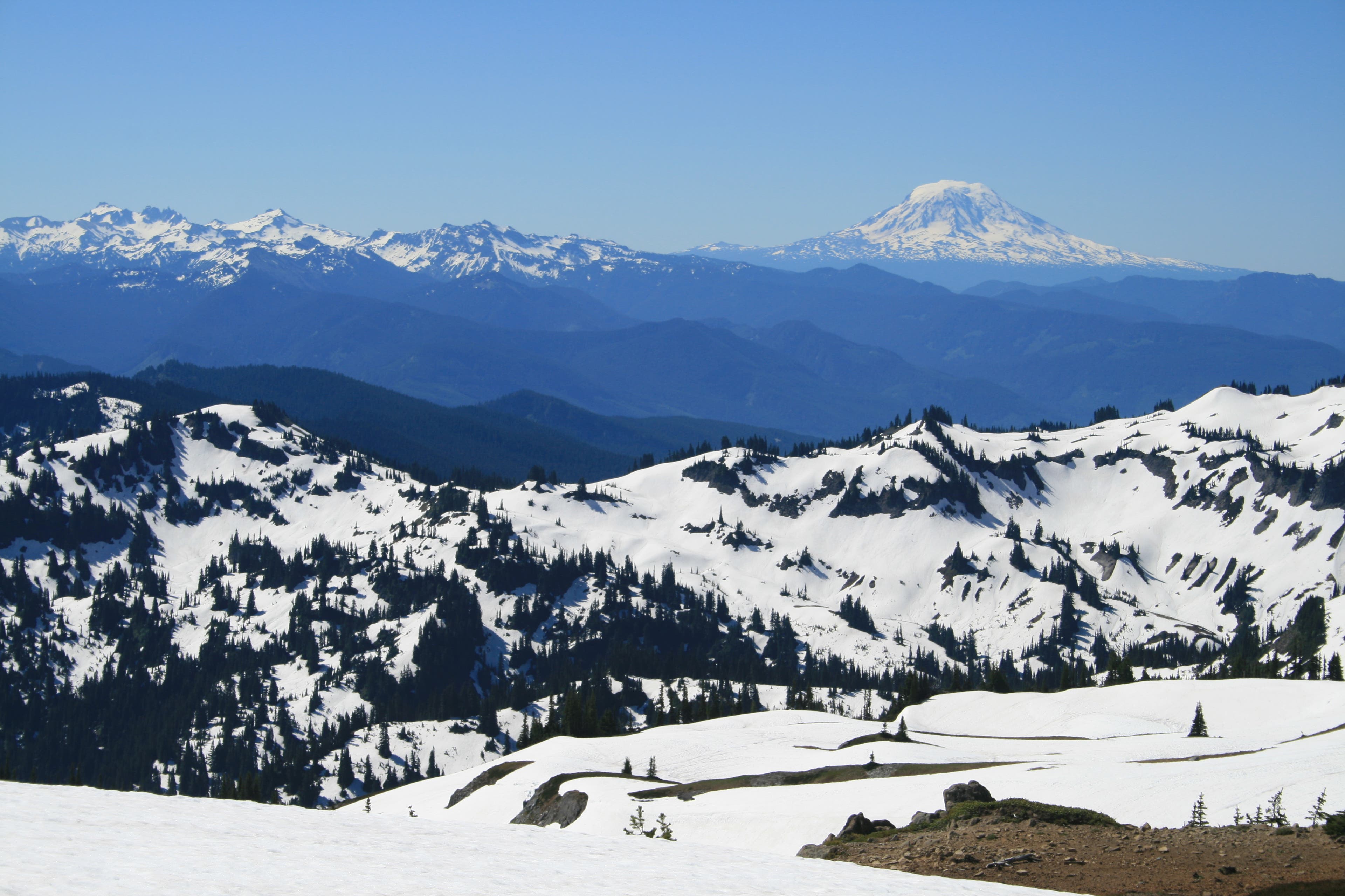 The glacier-topped Mount Adams stands out against a bright blue sky in this view from the Panhandle Gap. 
