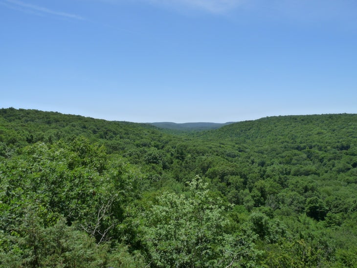 Panorama None
