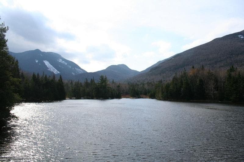 Panorama Payoff None