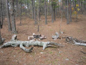 Panorama Vista Camp None