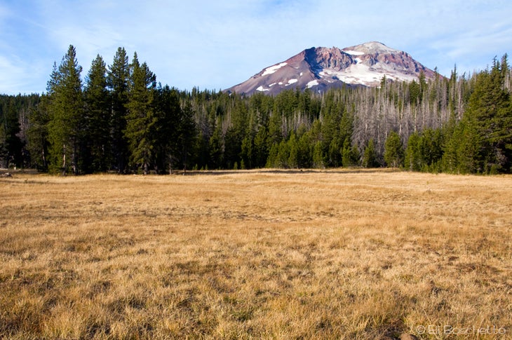 Park Meadow None