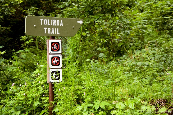 Park Trail None