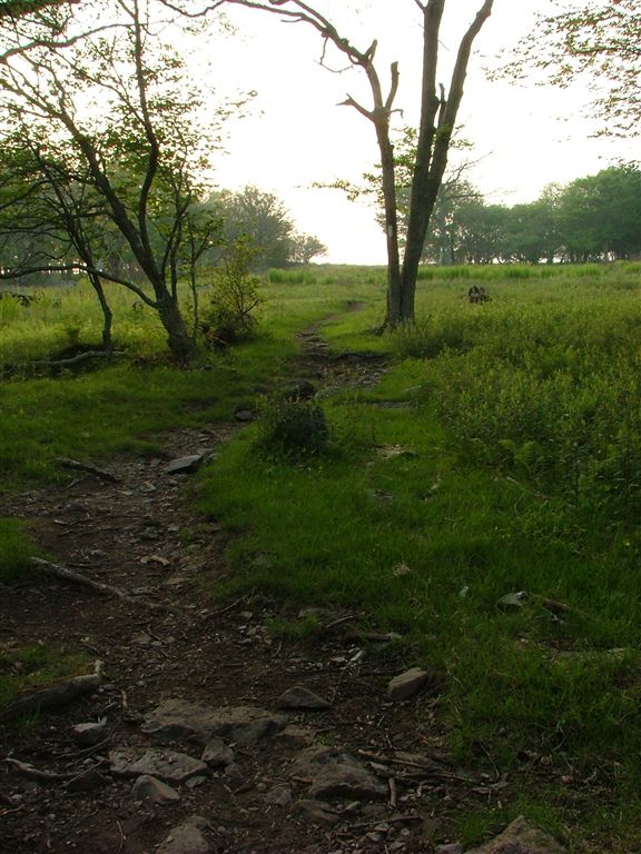 Pastoral Views None
