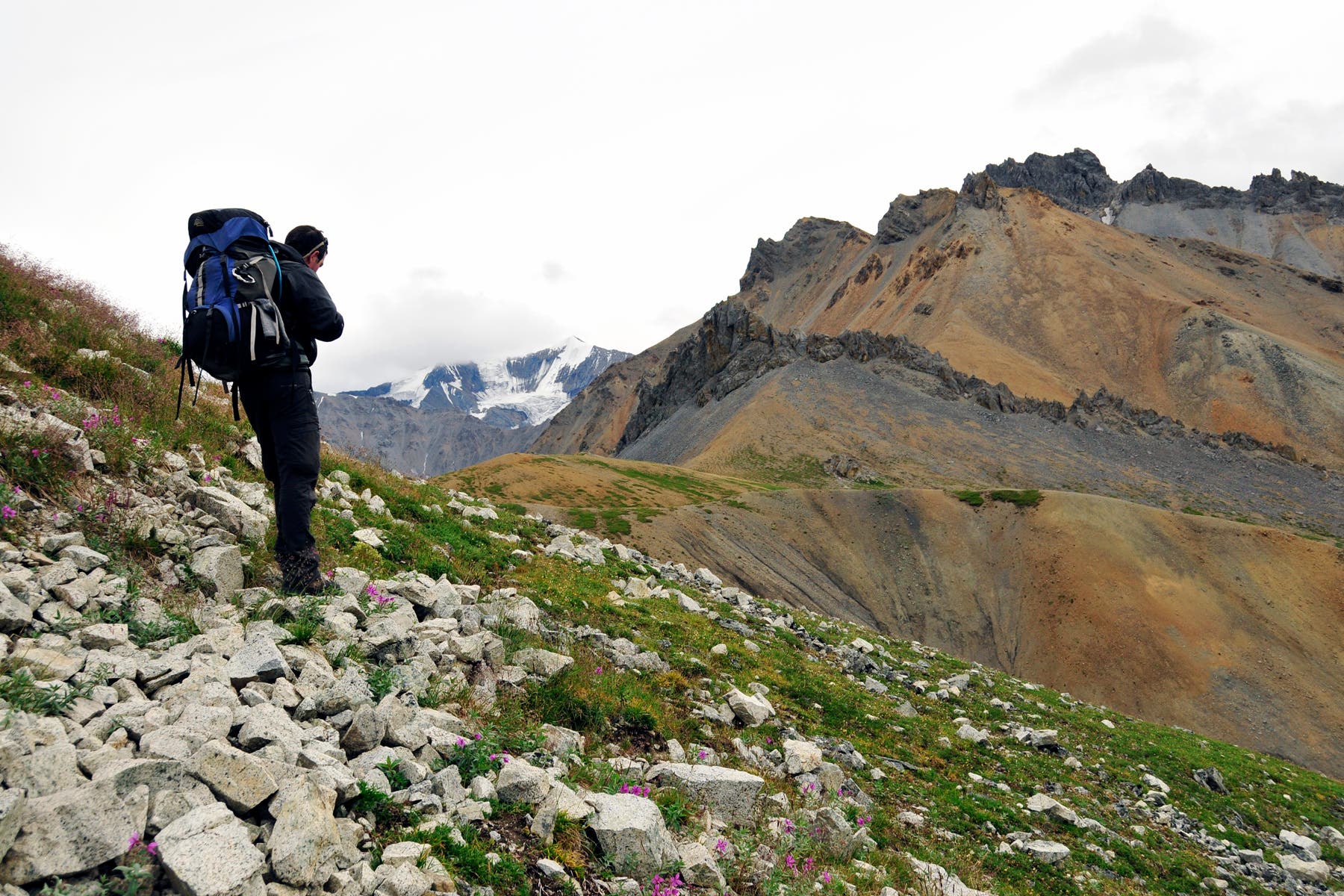 Path above Wolverine Creek Drainage None