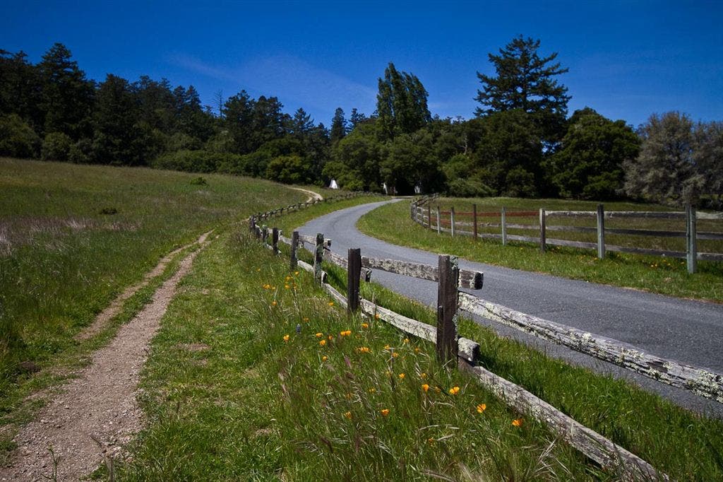 Path, Rail, and Road None