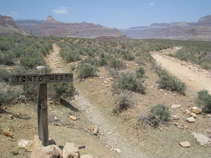 Path Splits None