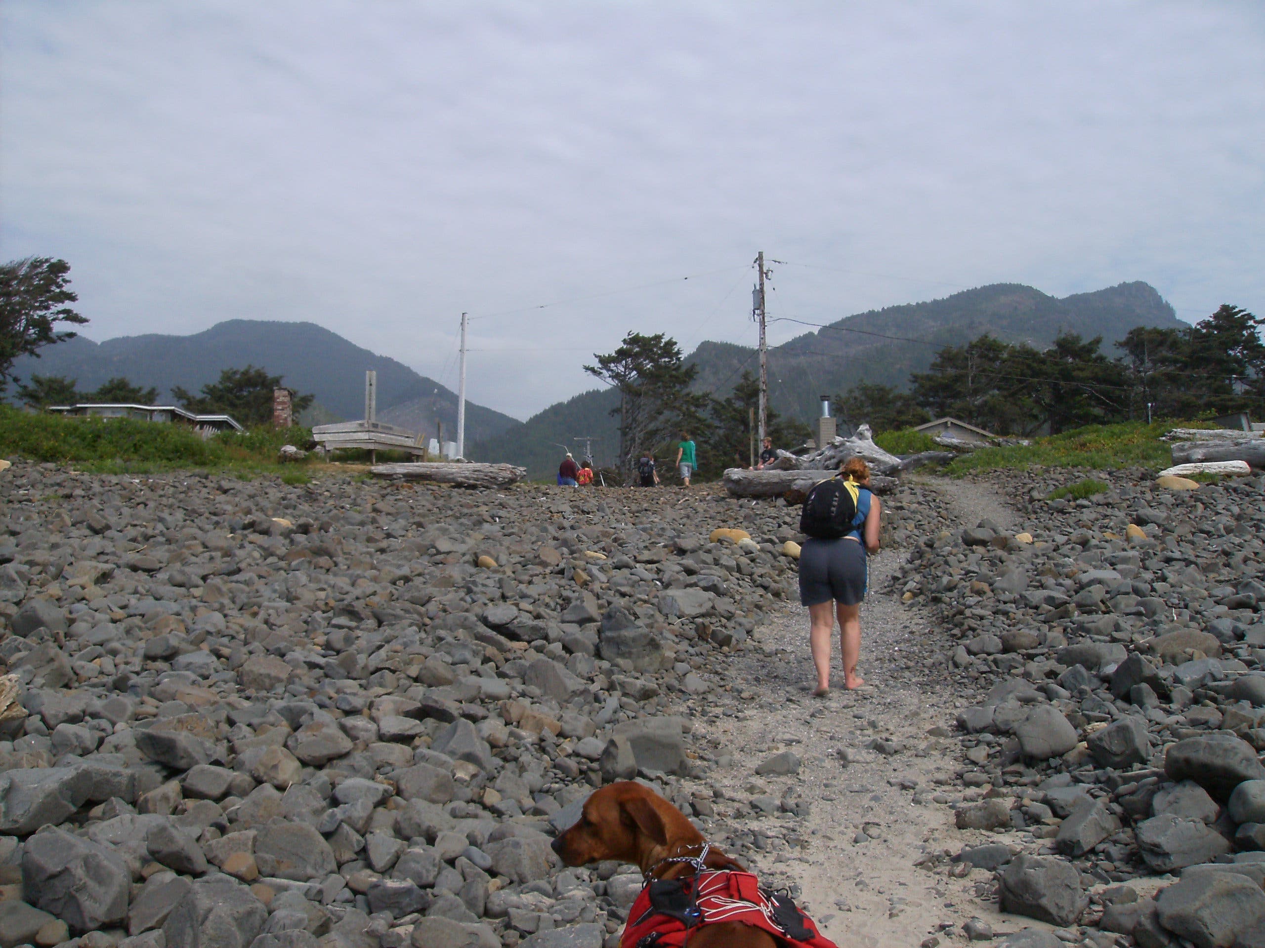 Path to Leech Lane None