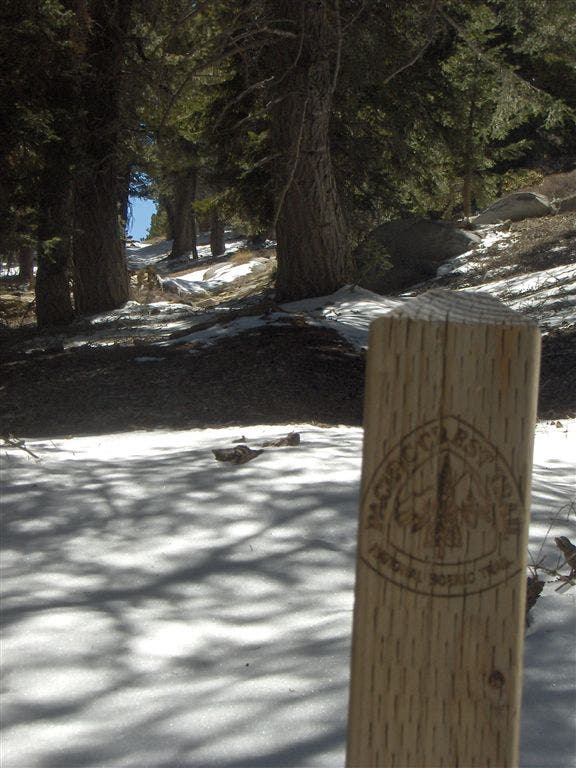 PCT Marker None