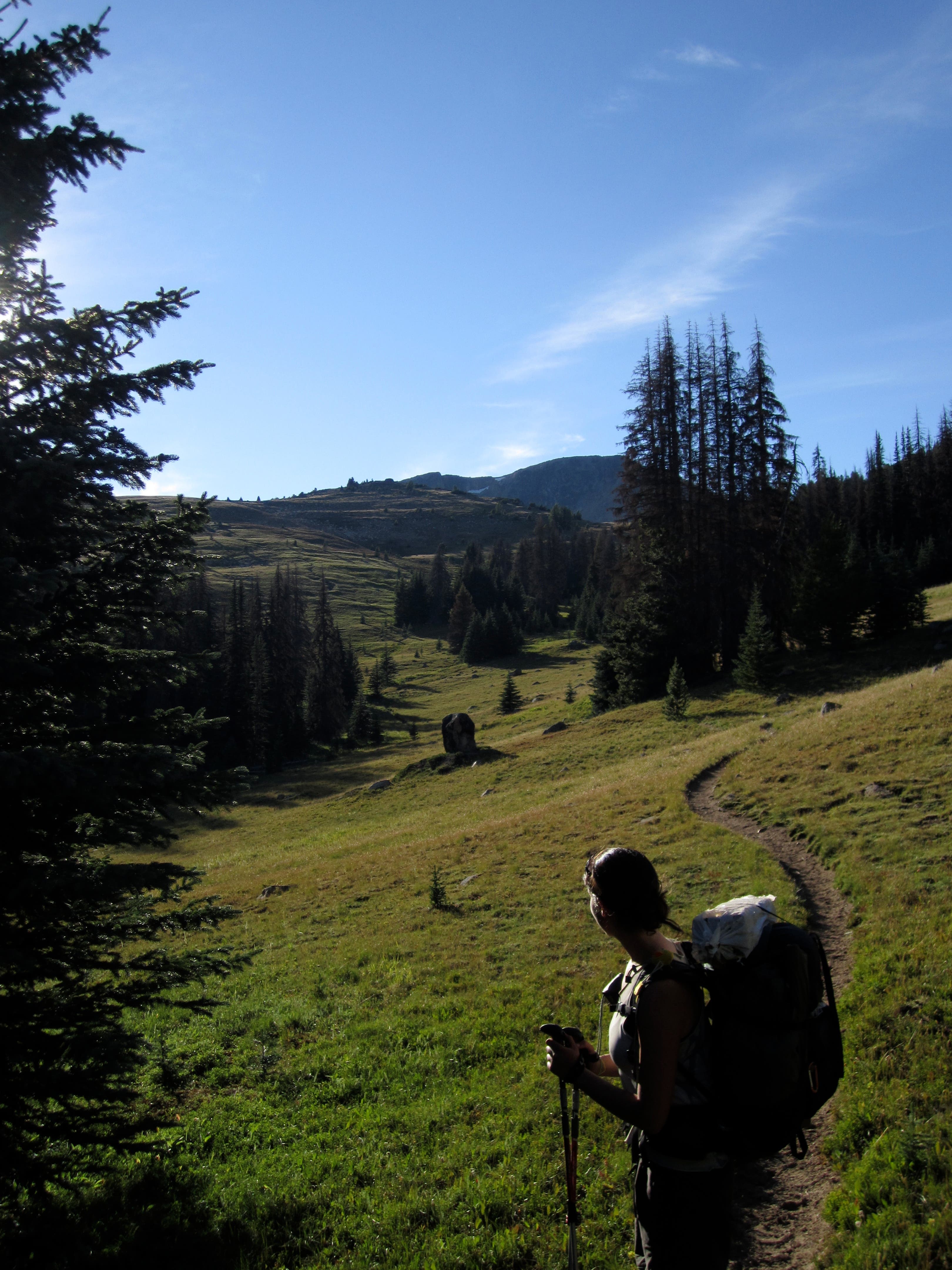 A hiker looks back over the trail she's just hiked during her approach to Peeve Pass along the PNT. 