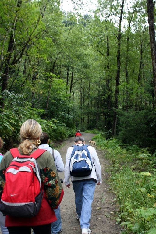 Perseverance Trail None