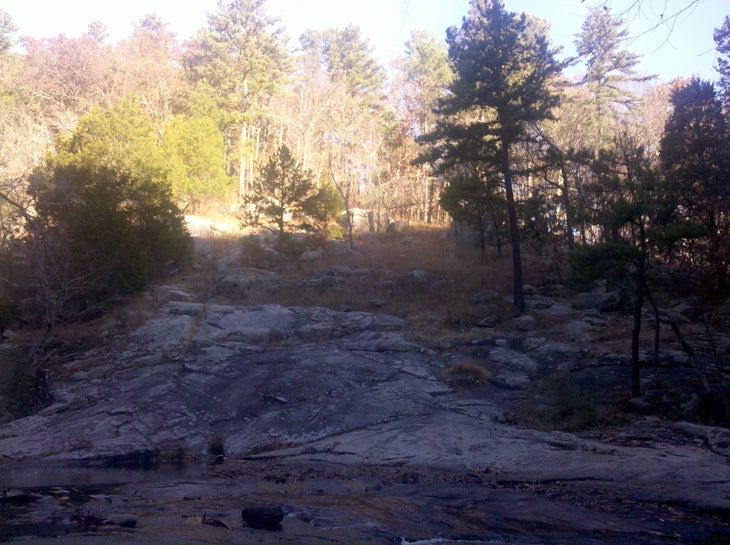 Pickle Creek None