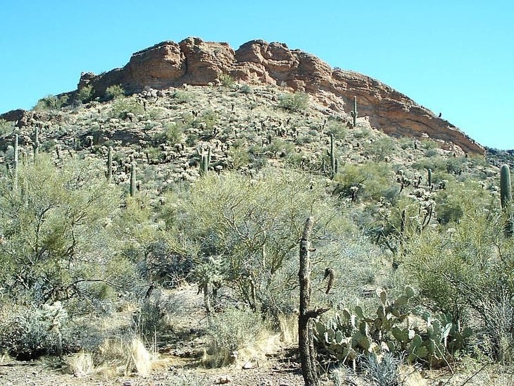 Pickly pear, palo verde and saguaro cover hillsides None