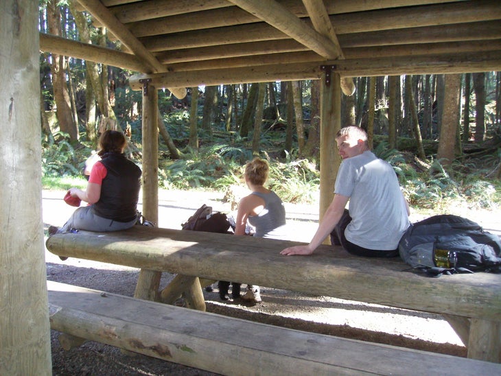 Picnic Shelter None