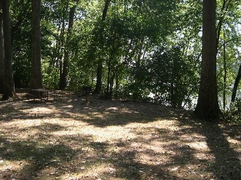 Picnic Spot None