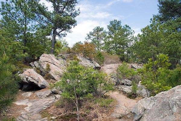 Pigeon Hill Trail None