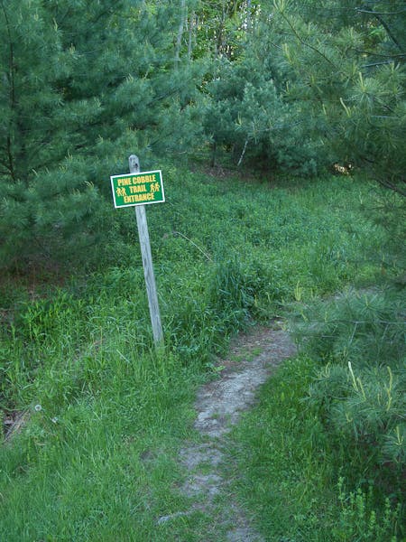 Pine Cobble Trail None