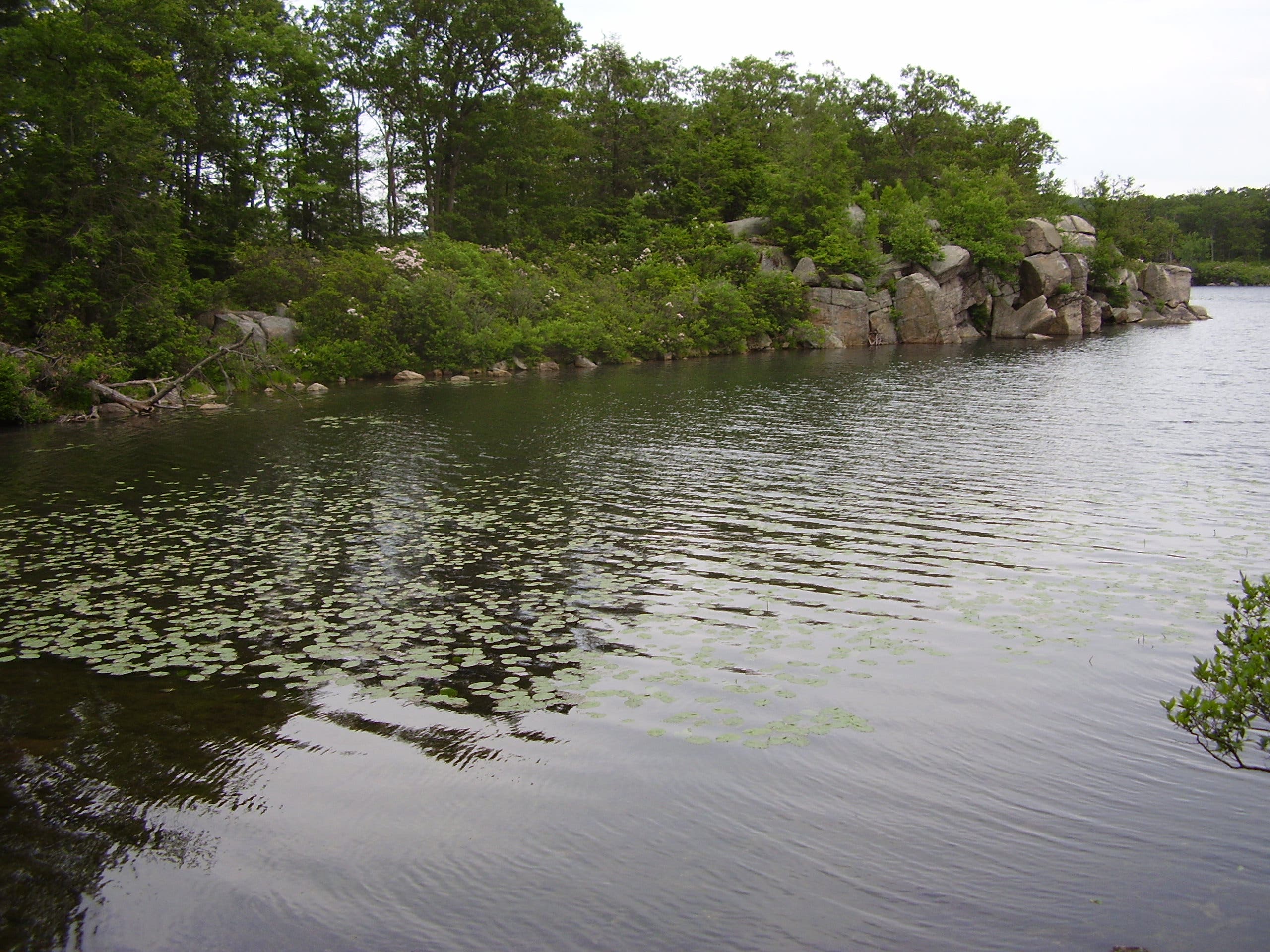 Pine Meadow Lake None