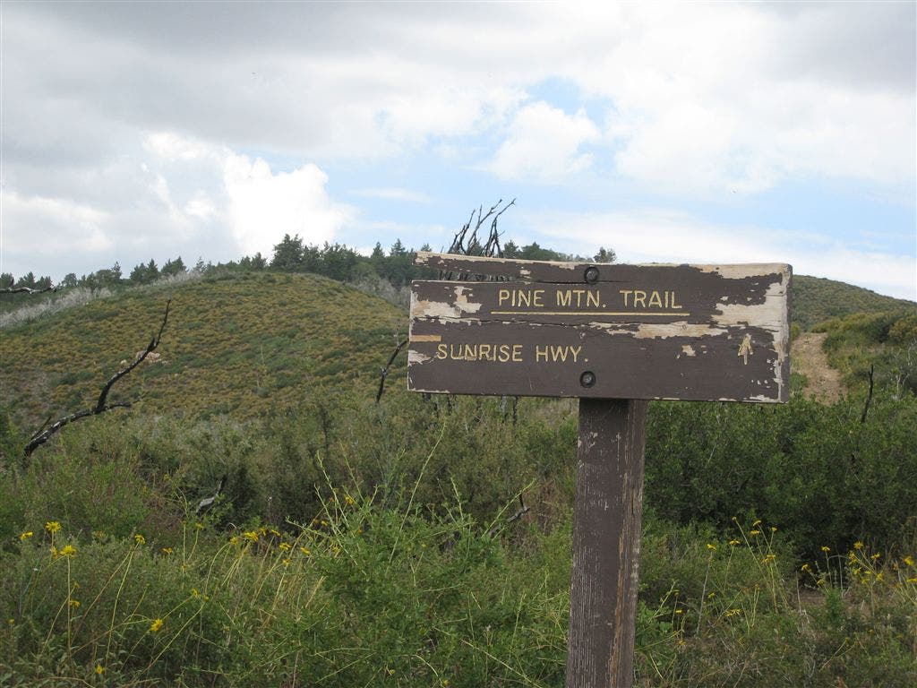 Pine Mountain Trail meets Sunrise Highway None