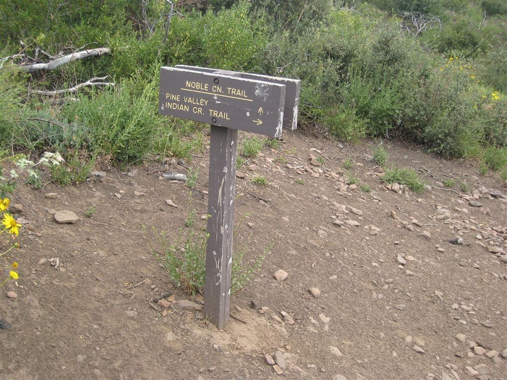 Pine Valley-Indian Creek Trail Junction None