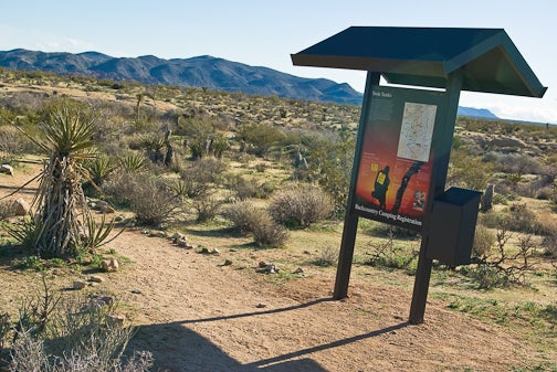 Pinto Basin trailhead None