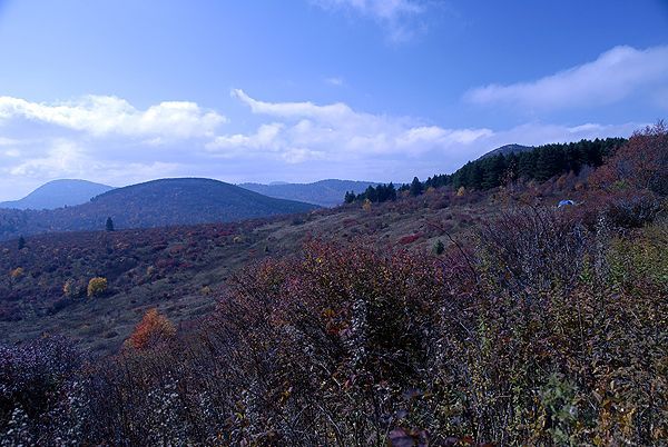 Pisgah Views None