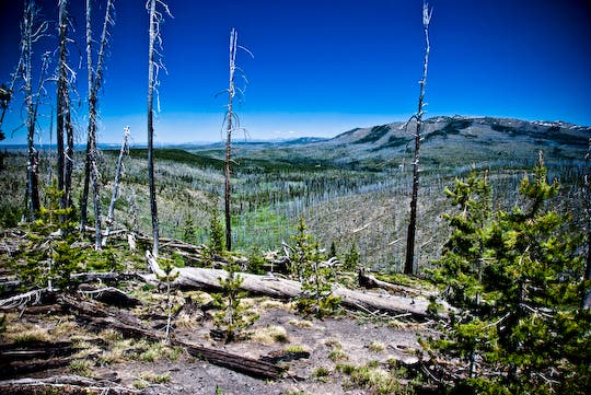 Pitchstone Plateau and Mount Sheridan Phantom Fumarole