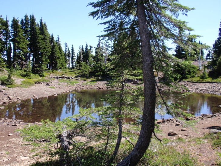 Pond None