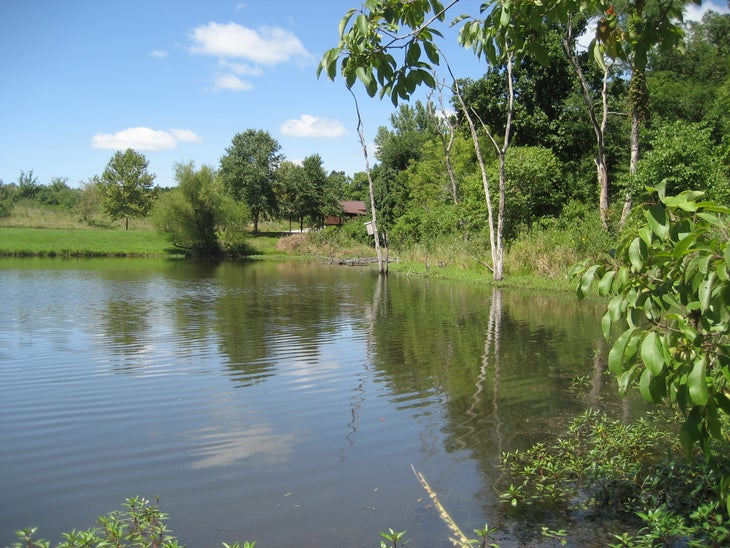 Pond None