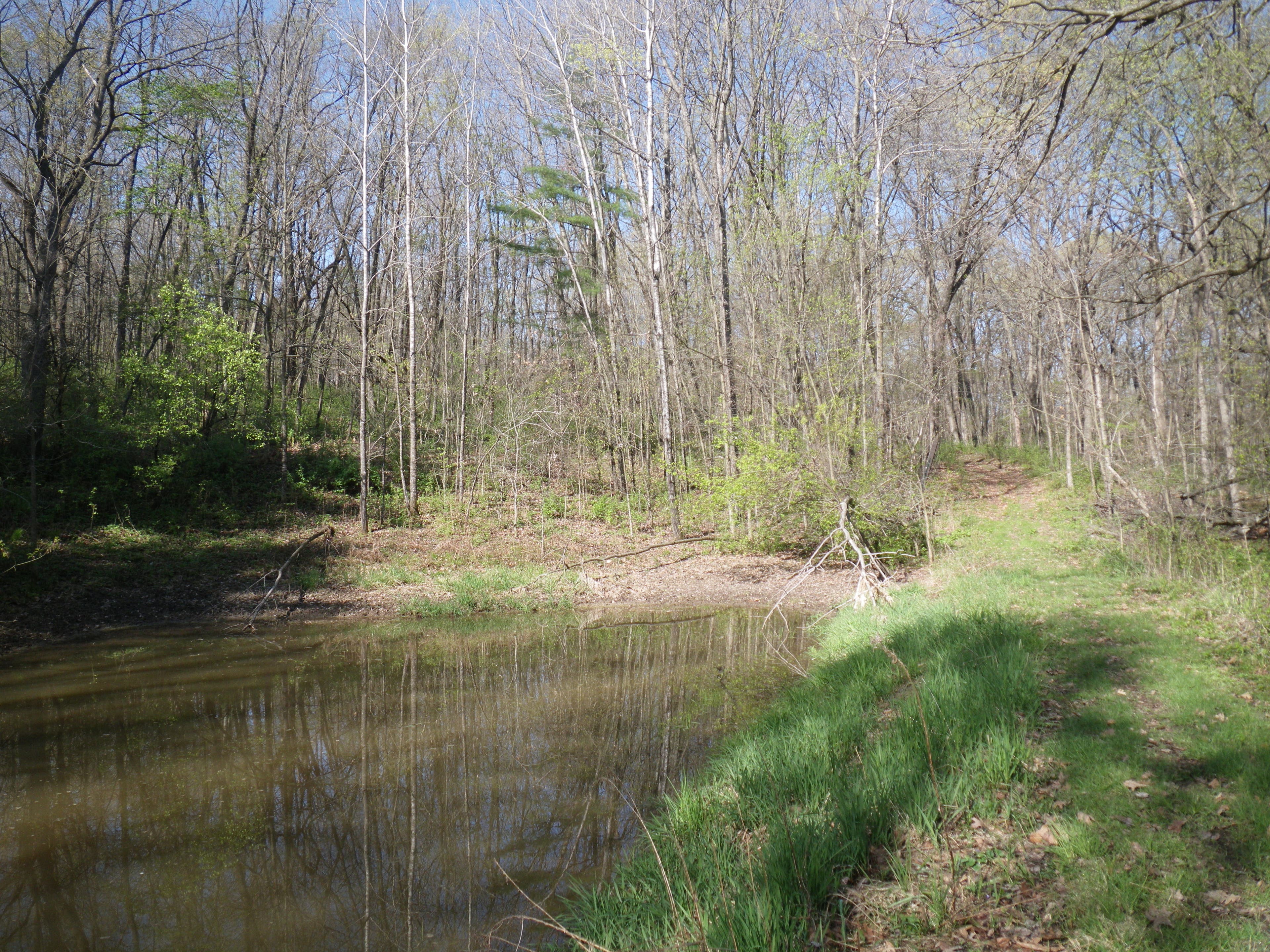 Pond along the trail None