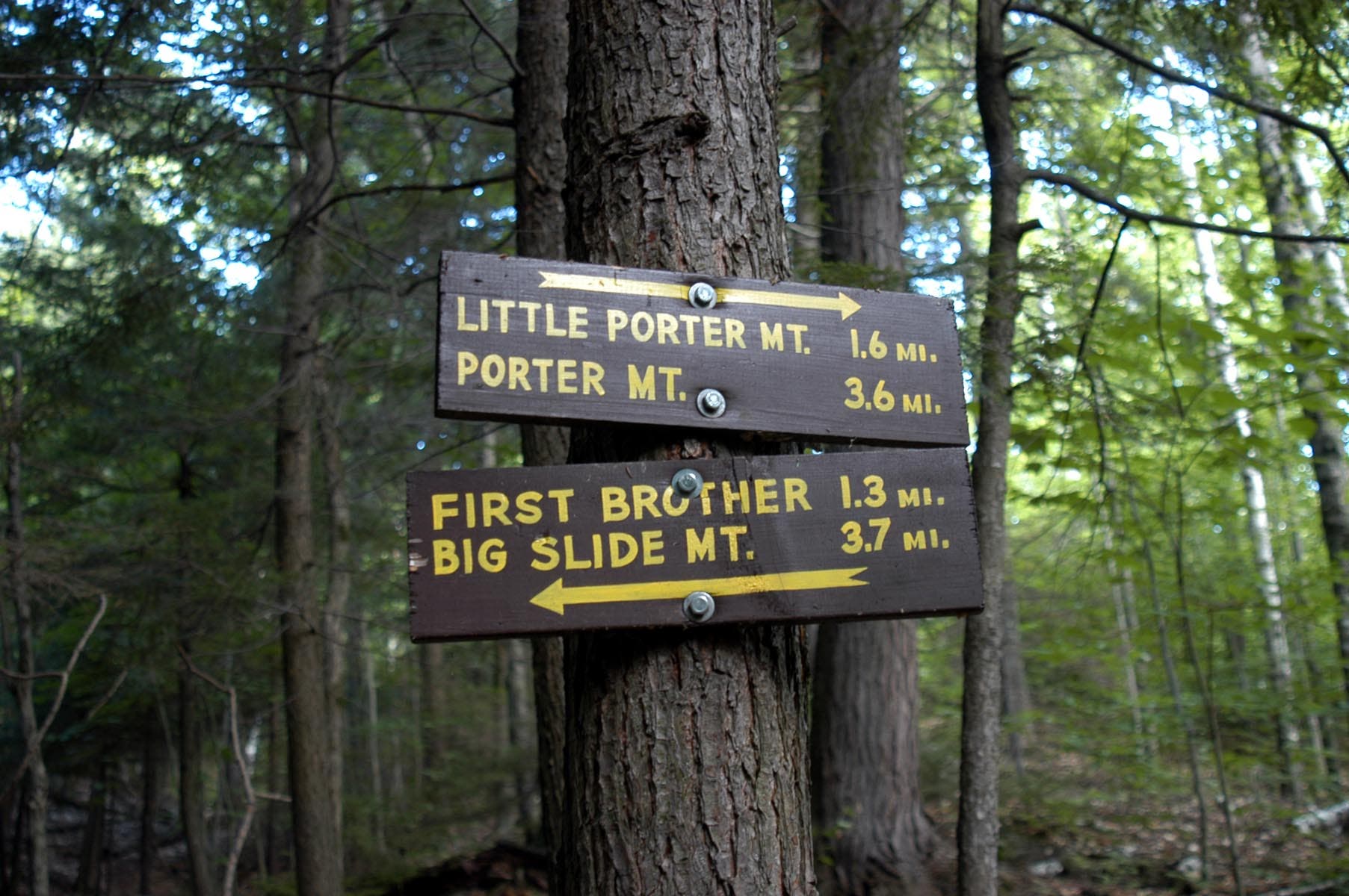 Porter Mountain Junction None