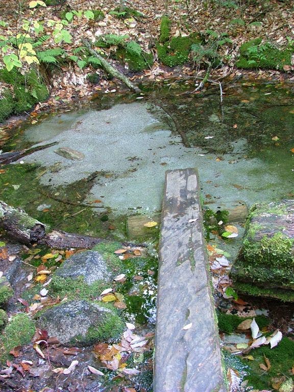 Potaywadjo Spring None