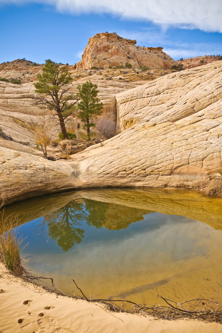 Capitol Reef National Park: Capitol Gorge to Pleasant Creek