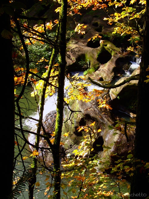Pothole Falls None