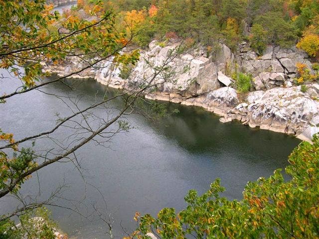 Potomac Overlook None