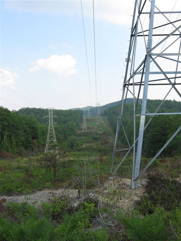 Powerline Clearing None