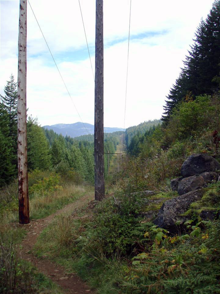 Powerlines None